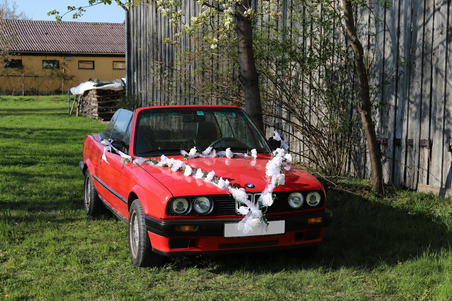 BMW 318i Cabrio – Ansicht 5